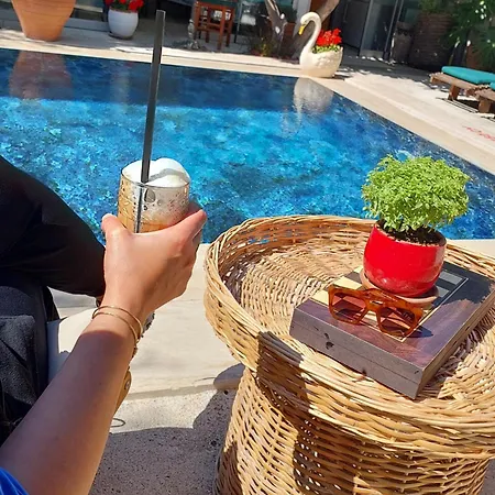 Hotel Bademici