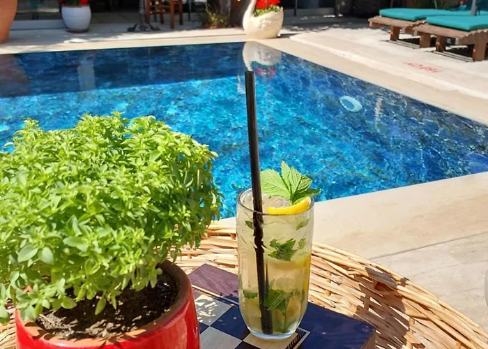 Bademici فندق